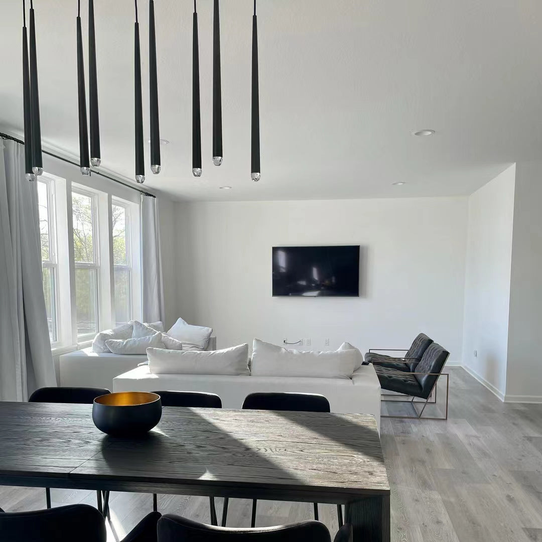 Aquitaines Artistic Modern Pendant Light Fixture