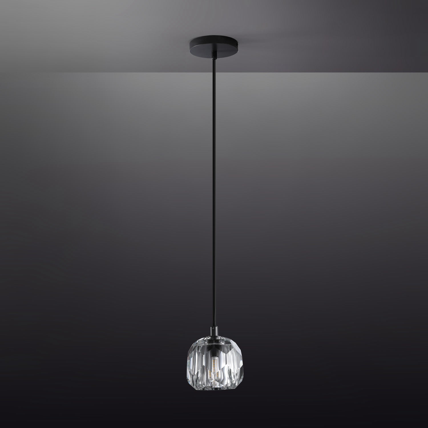 Boule De Clear/Smoke Glass Cord Pendant Light Modern Decorative Fixture